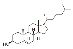 Colesterolo - lipide steroli