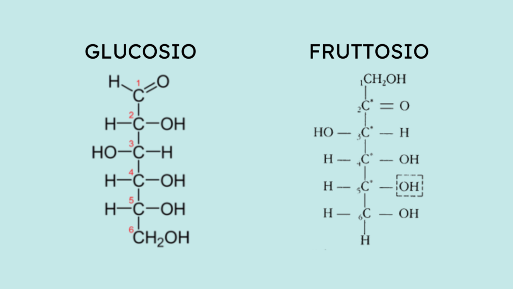 Monosaccaridi, struttura glucosio e fruttosio