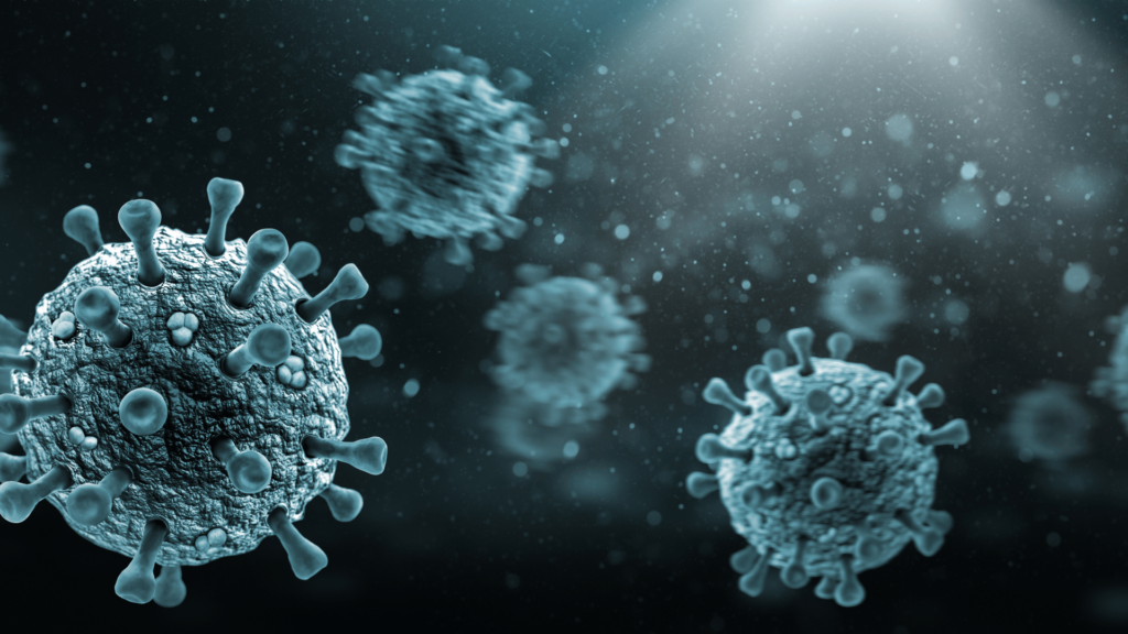 I virus in ambiente acquoso