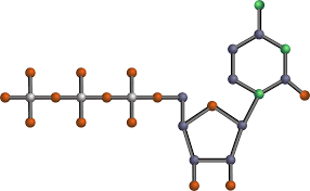 Nucleotide struttura