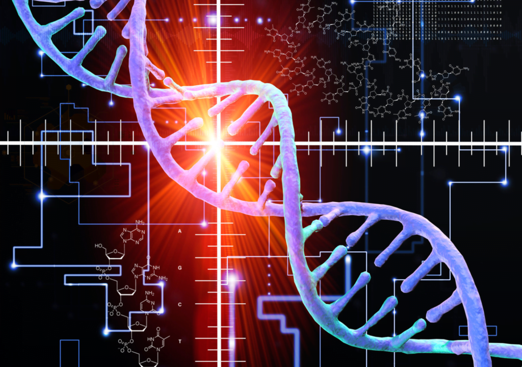 Esempio di riparazione del DNA